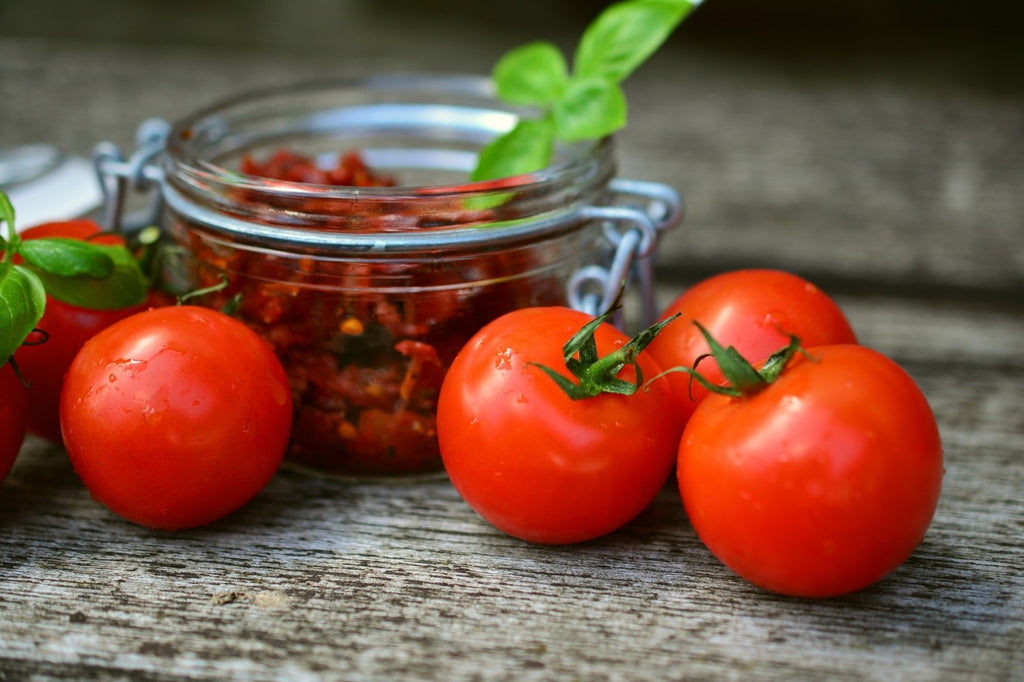 Best Time to Start Planting Your Tomato Plants